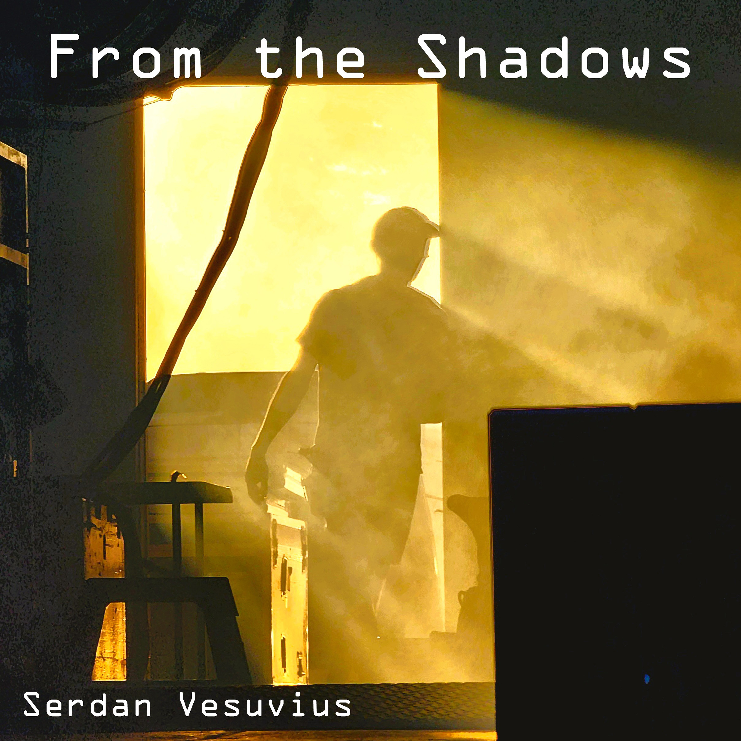 From the Shadows - Cover Art